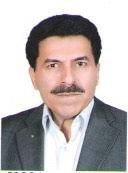 Dr. Ravanbakhsh Shirdam