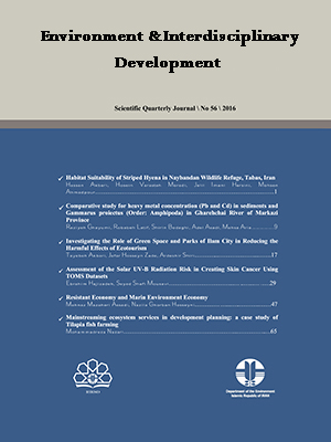 Environment and Interdisciplinary Development